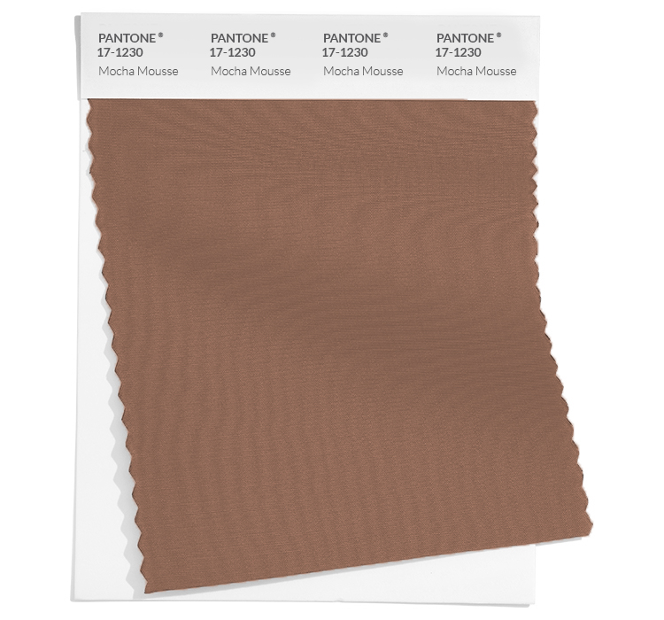 Pantone 172025 Mocha Mousse Hair Veda Esmeralda